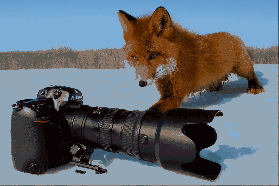   (gorshkov-photo26.jpg, 141364 , : 1671 )